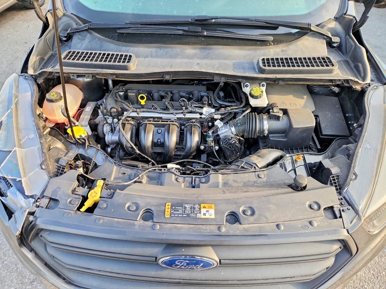 Ford Escape S