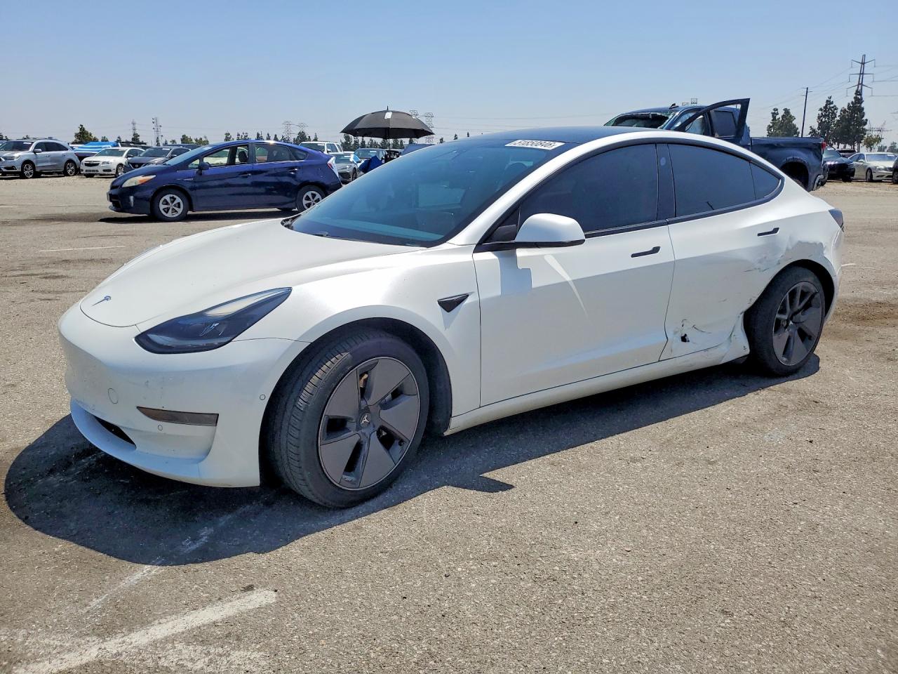 Salvage Tesla Model 3 Image