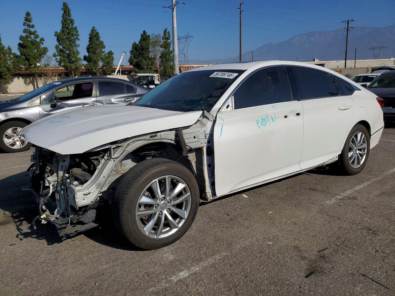 Salvage Honda Accord Image