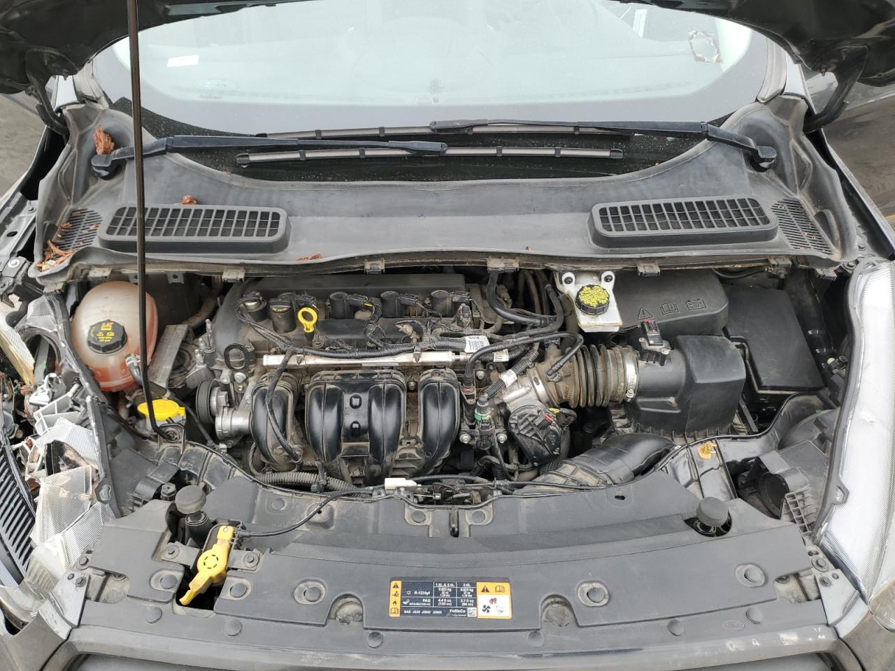 Ford Escape S