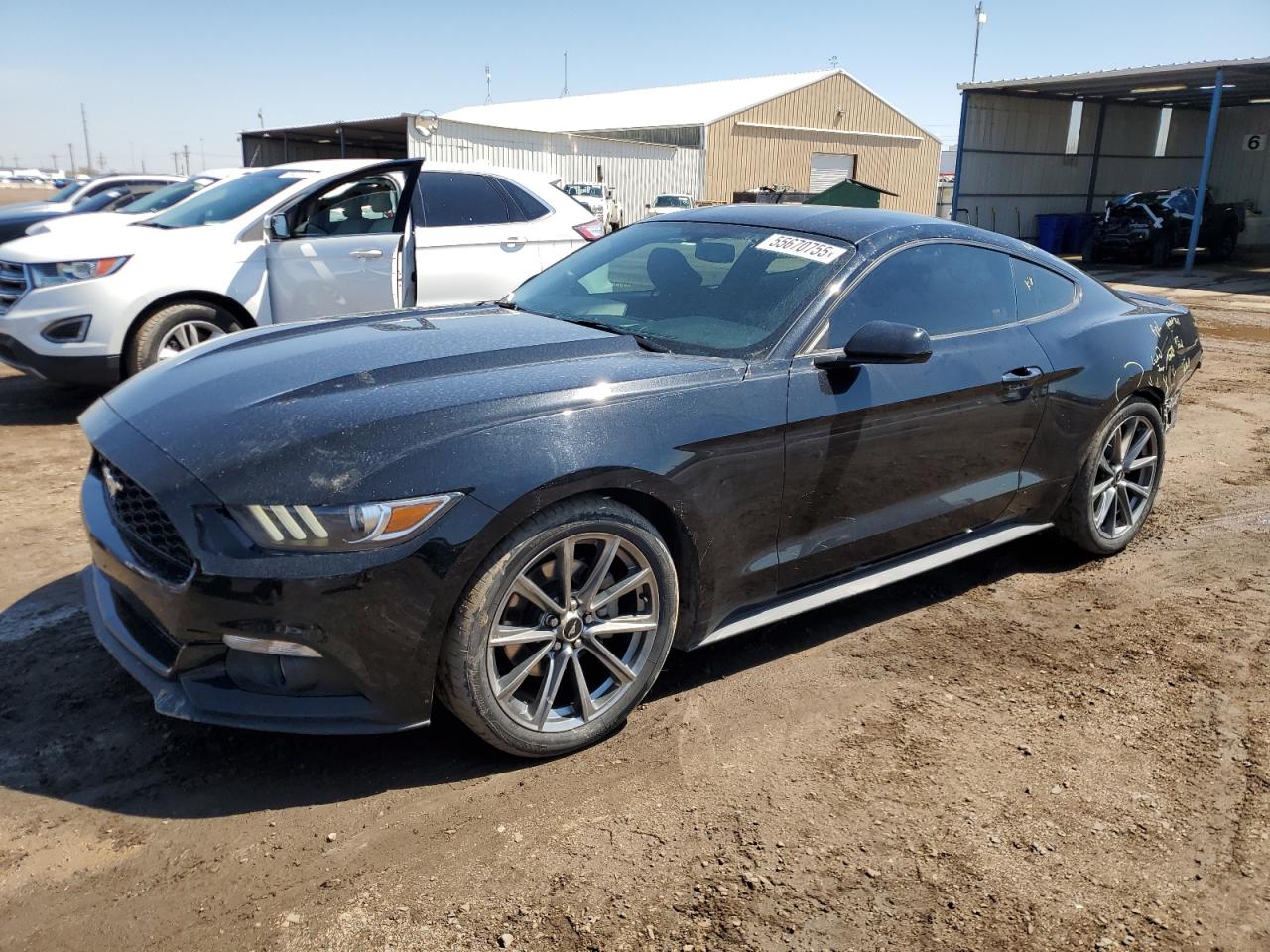 Salvage Ford Mustang Image