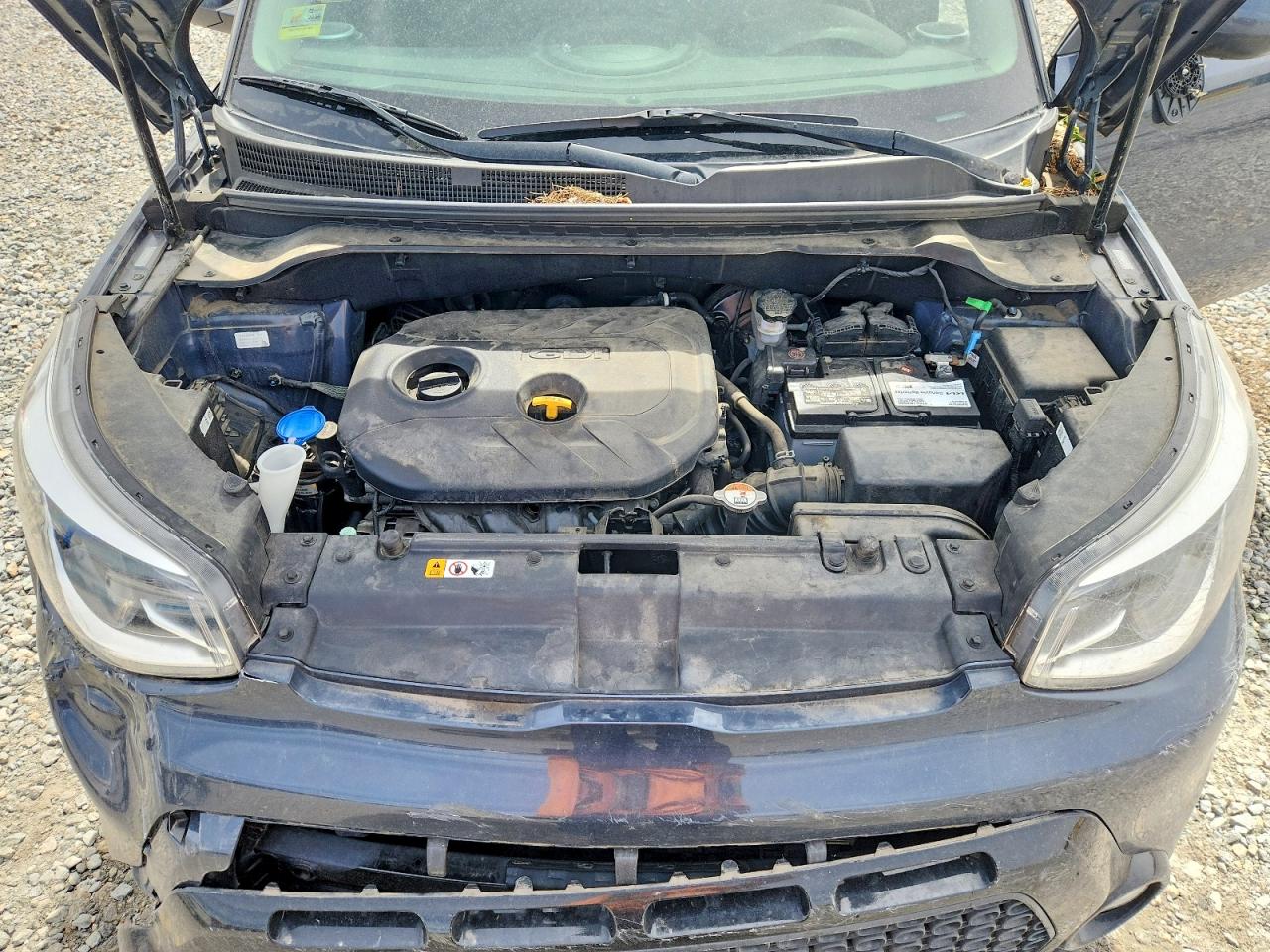 Kia Soul +