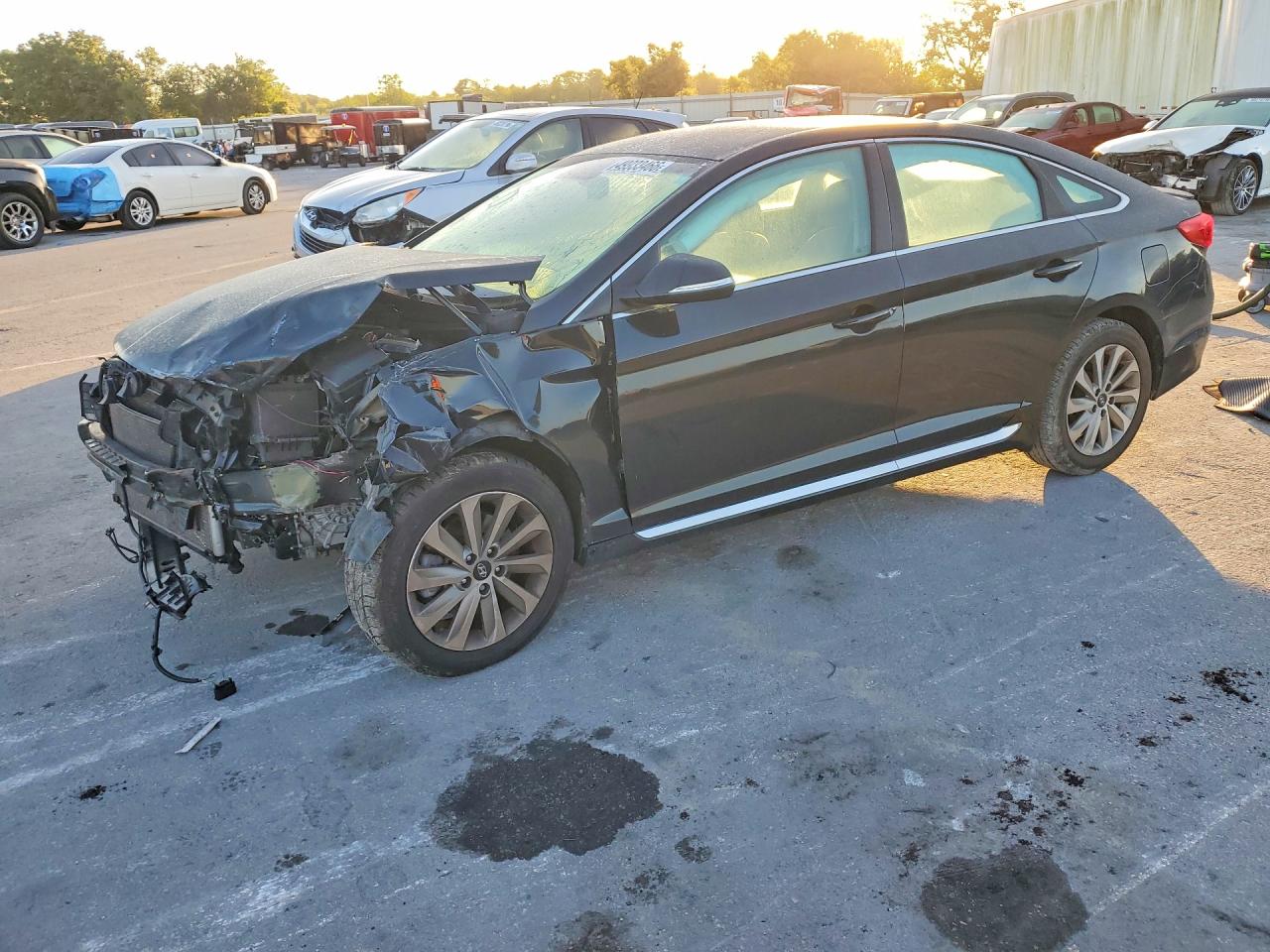 Salvage Hyundai SONATA Image