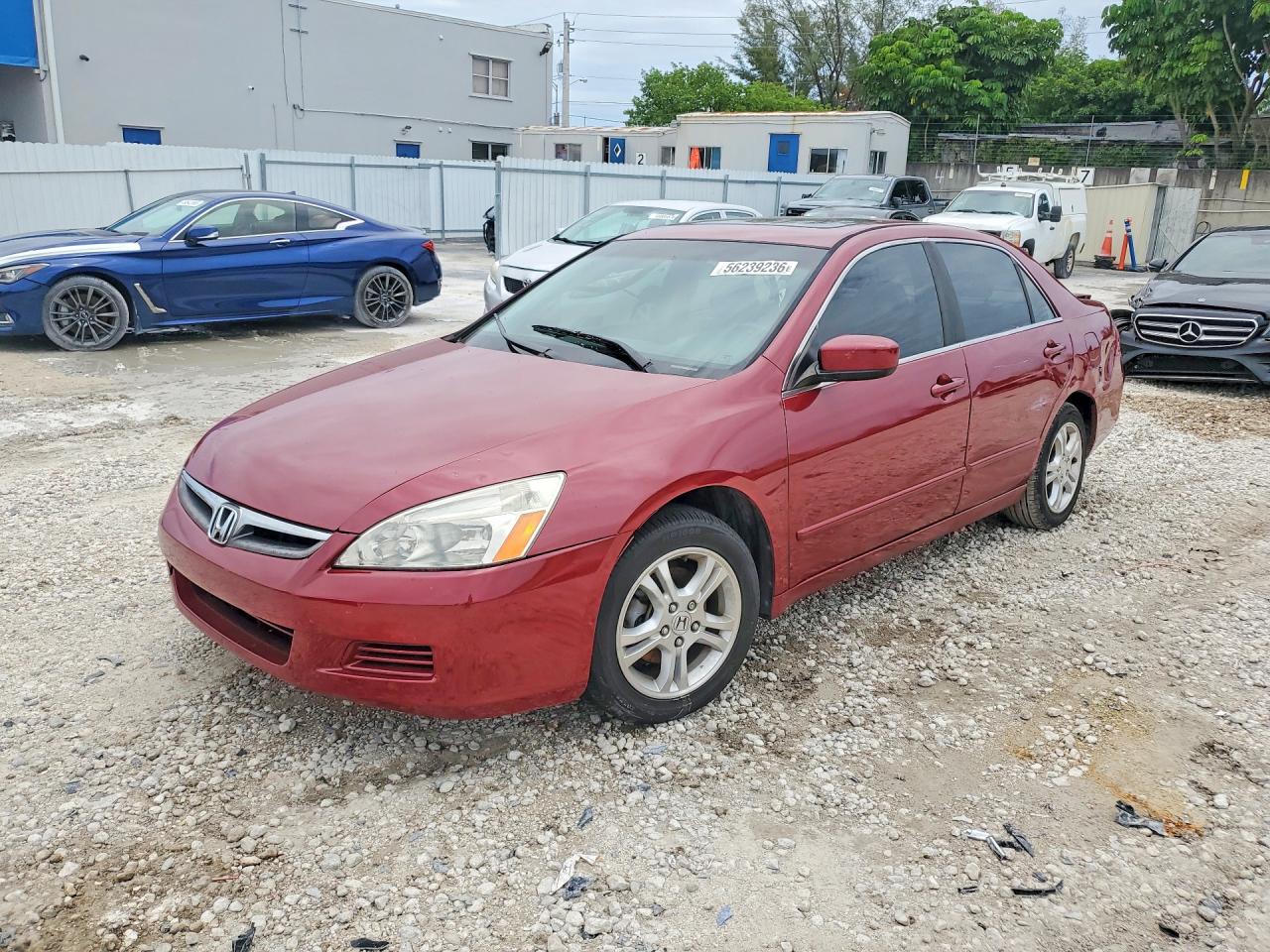 Salvage Honda Accord Image