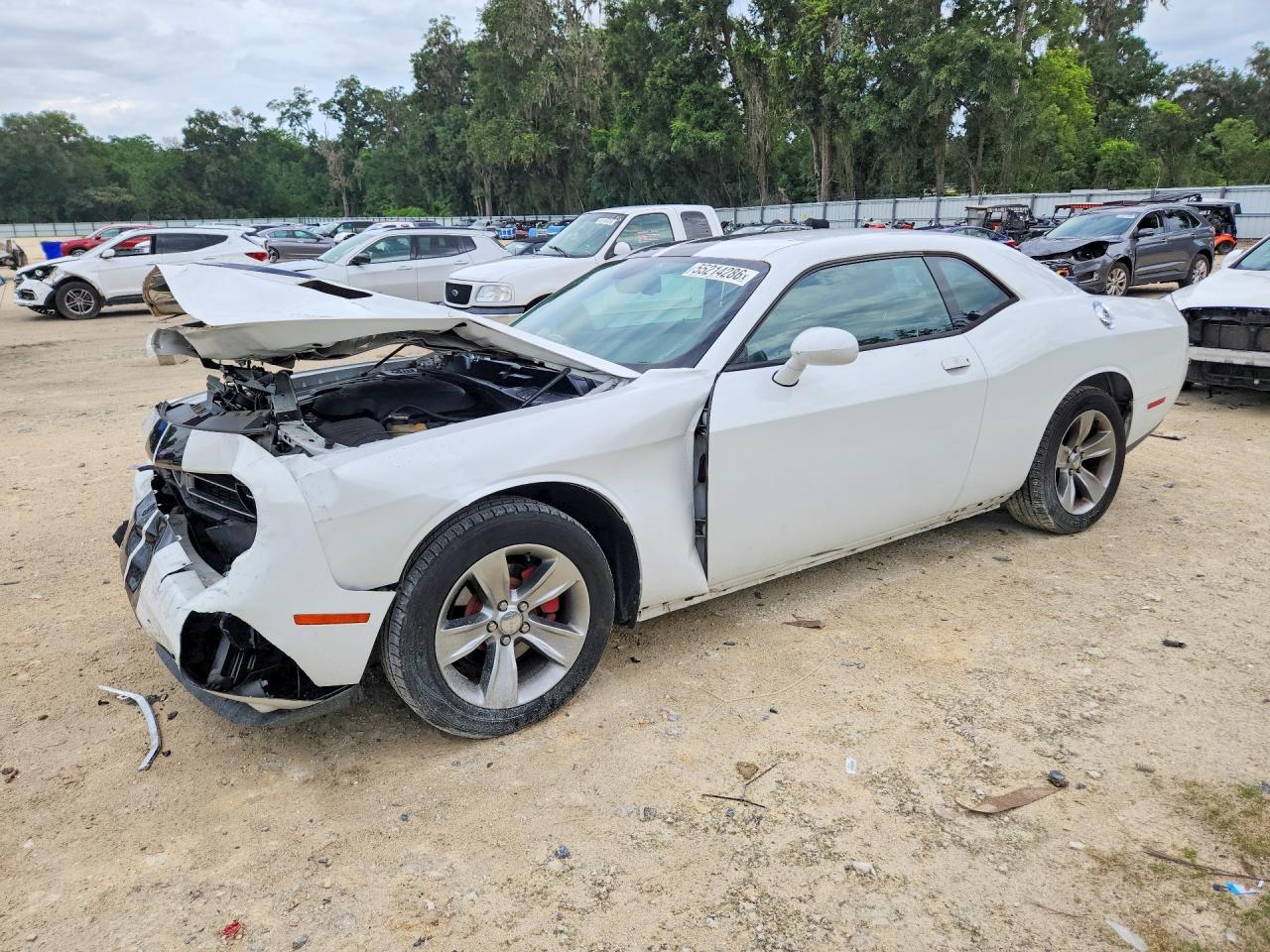 Salvage Dodge Challenger Image