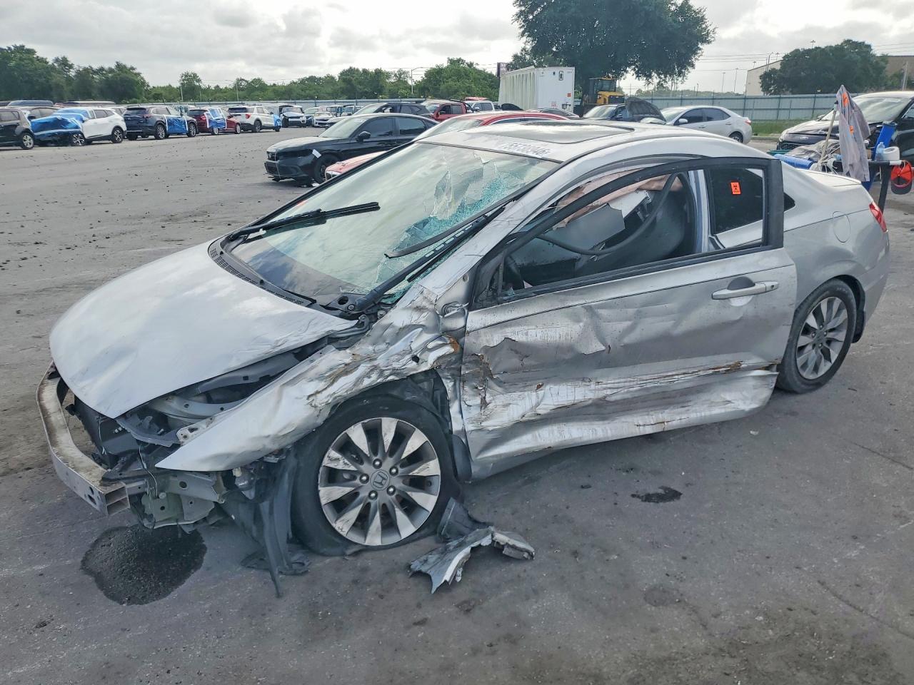 Salvage Honda Civic Image