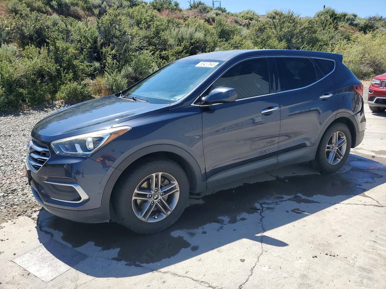 Salvage Hyundai SANTA FE Image