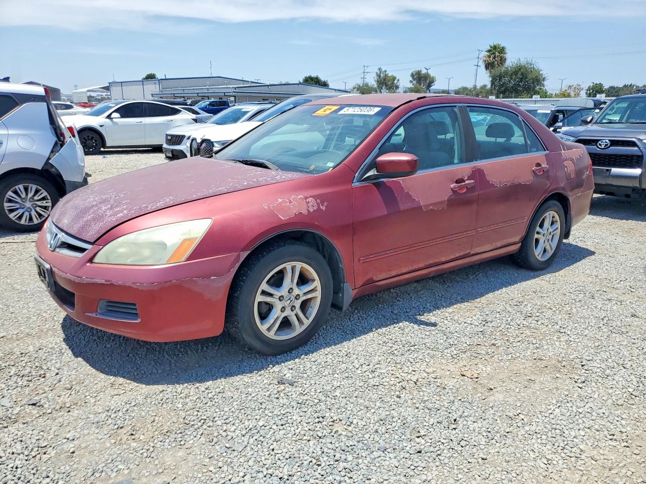 Salvage Honda Accord Image