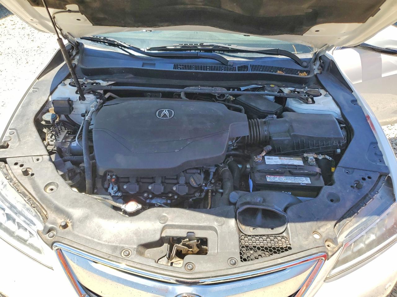 Acura TLX Advance