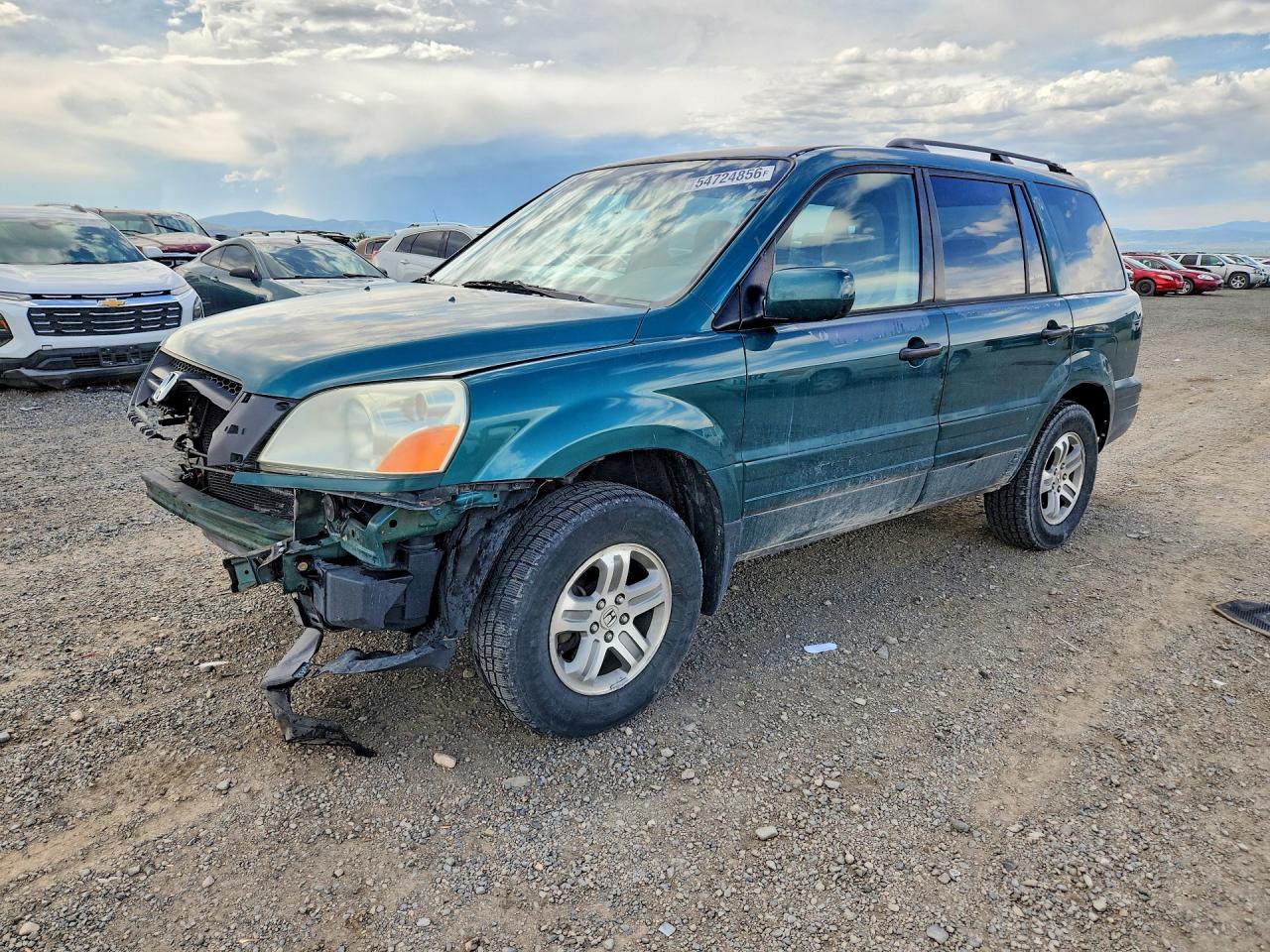 Salvage Honda Pilot Image