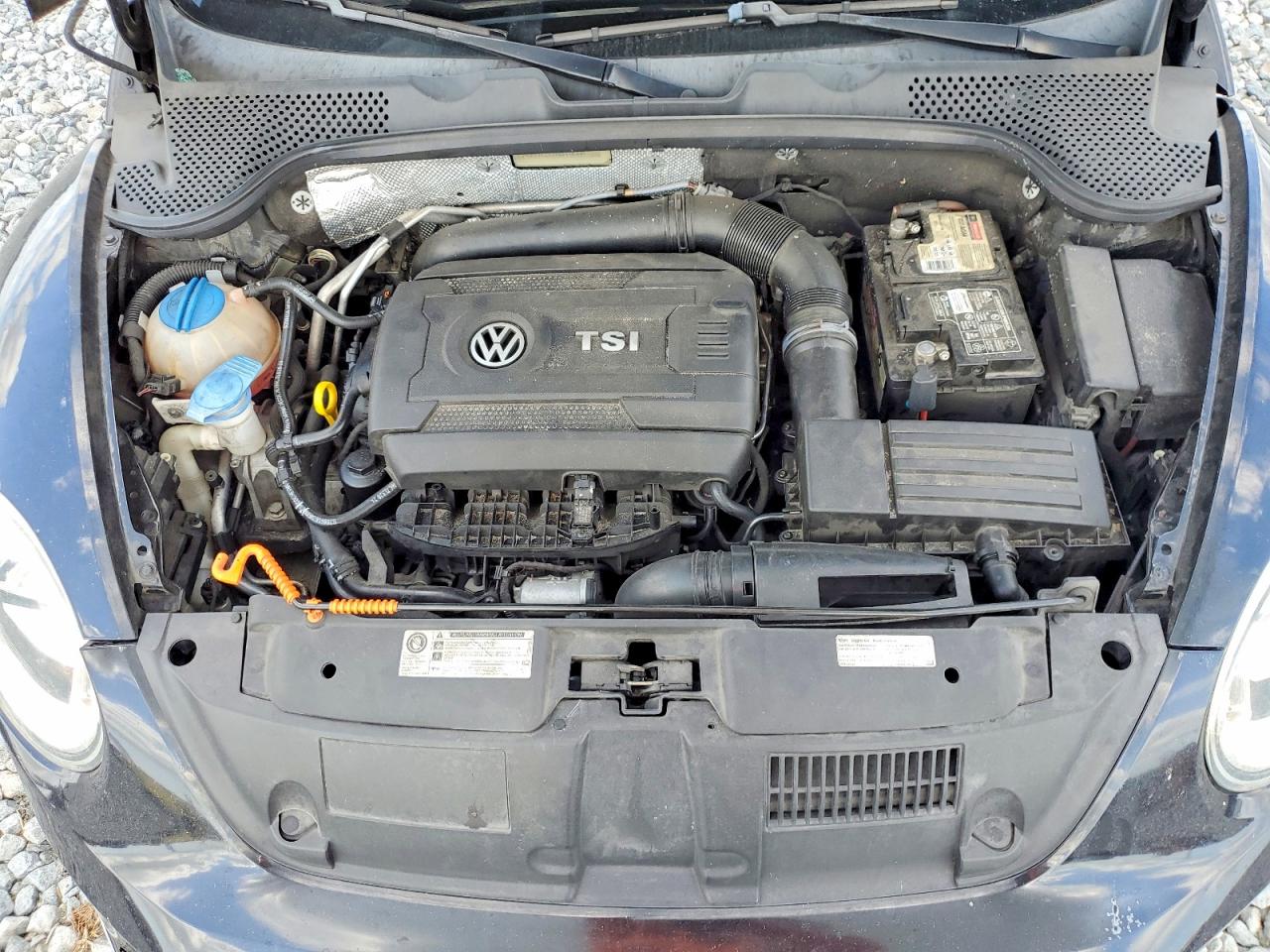 Volkswagen Beetle Turbo