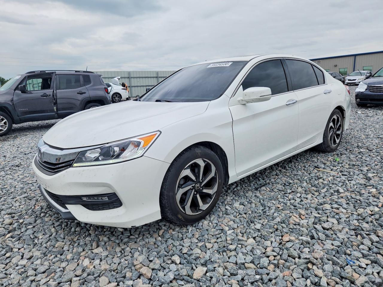 Salvage Honda Accord Image