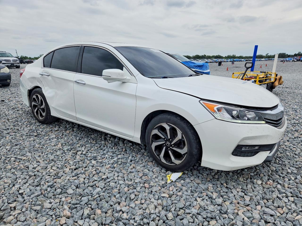 Honda Accord Exl