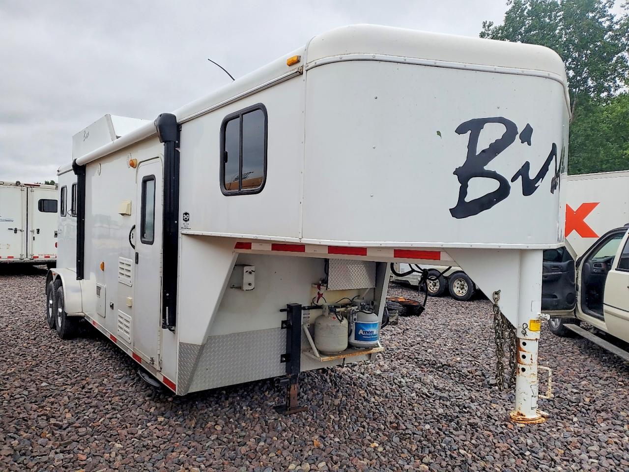 Salvage Bison Other Image