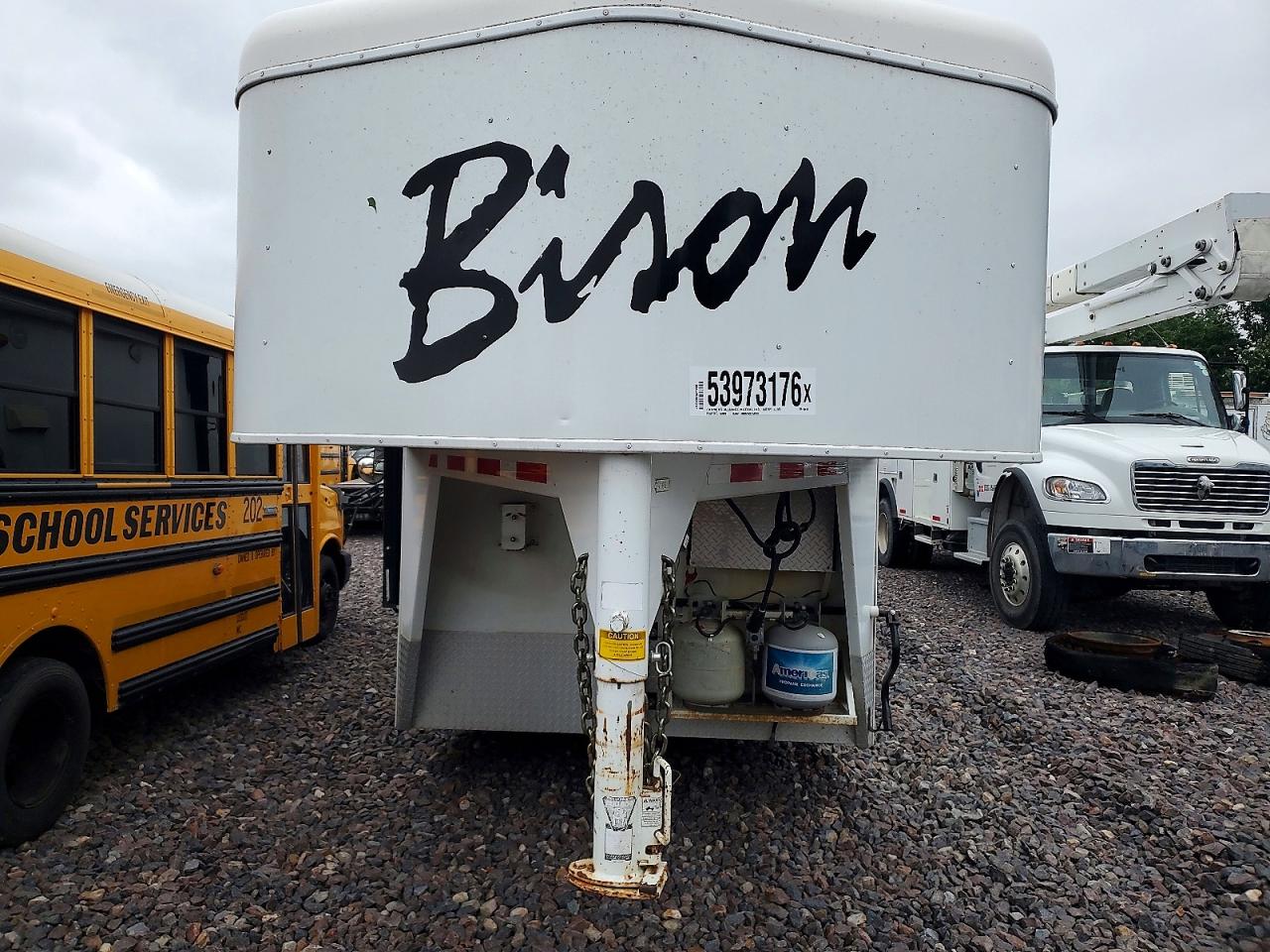 Bison Other