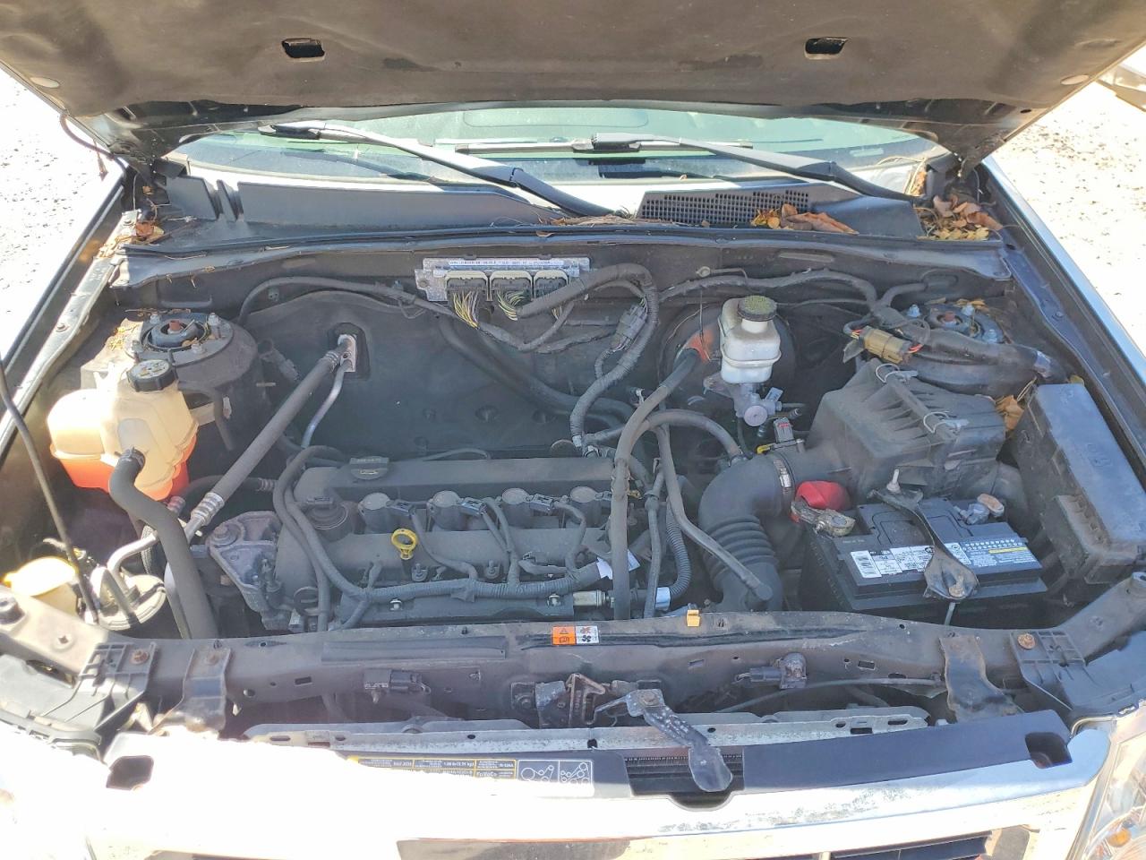 Ford Escape Limited