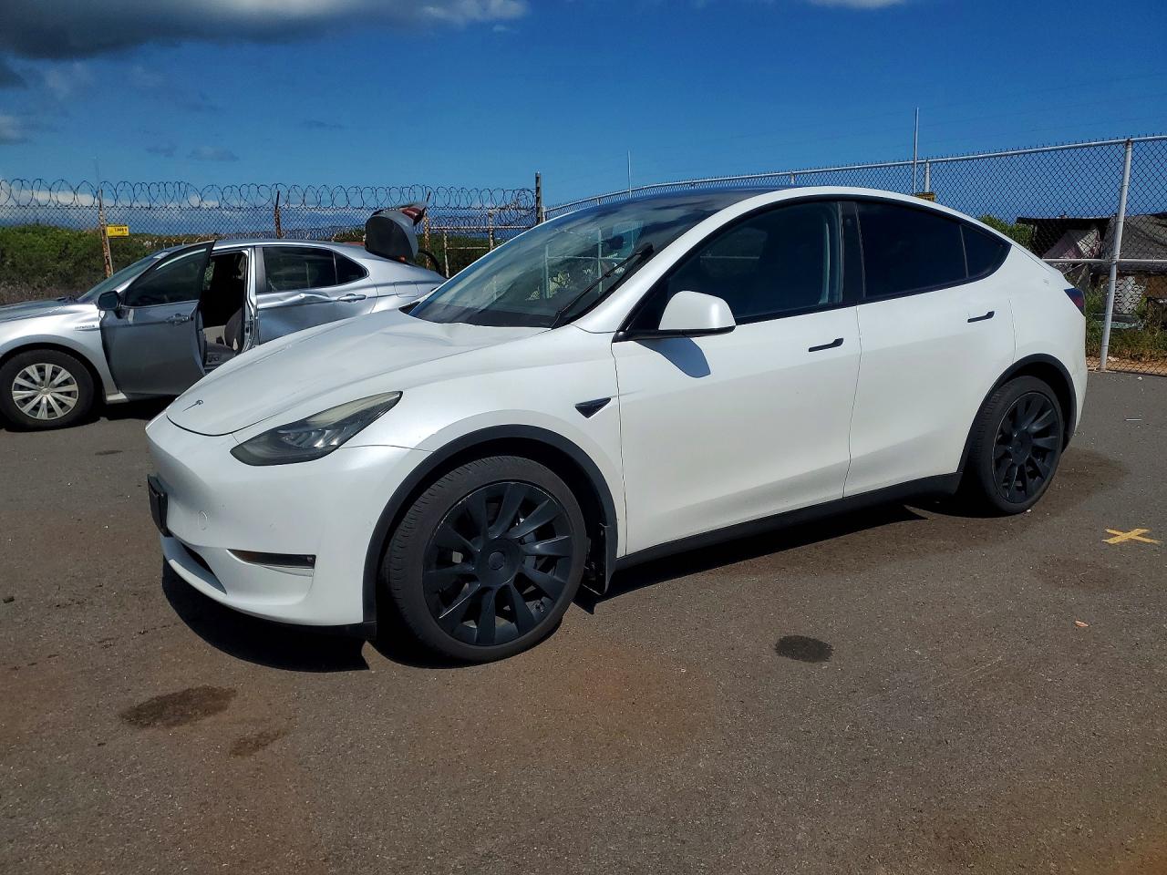 Salvage Tesla Model Y Image