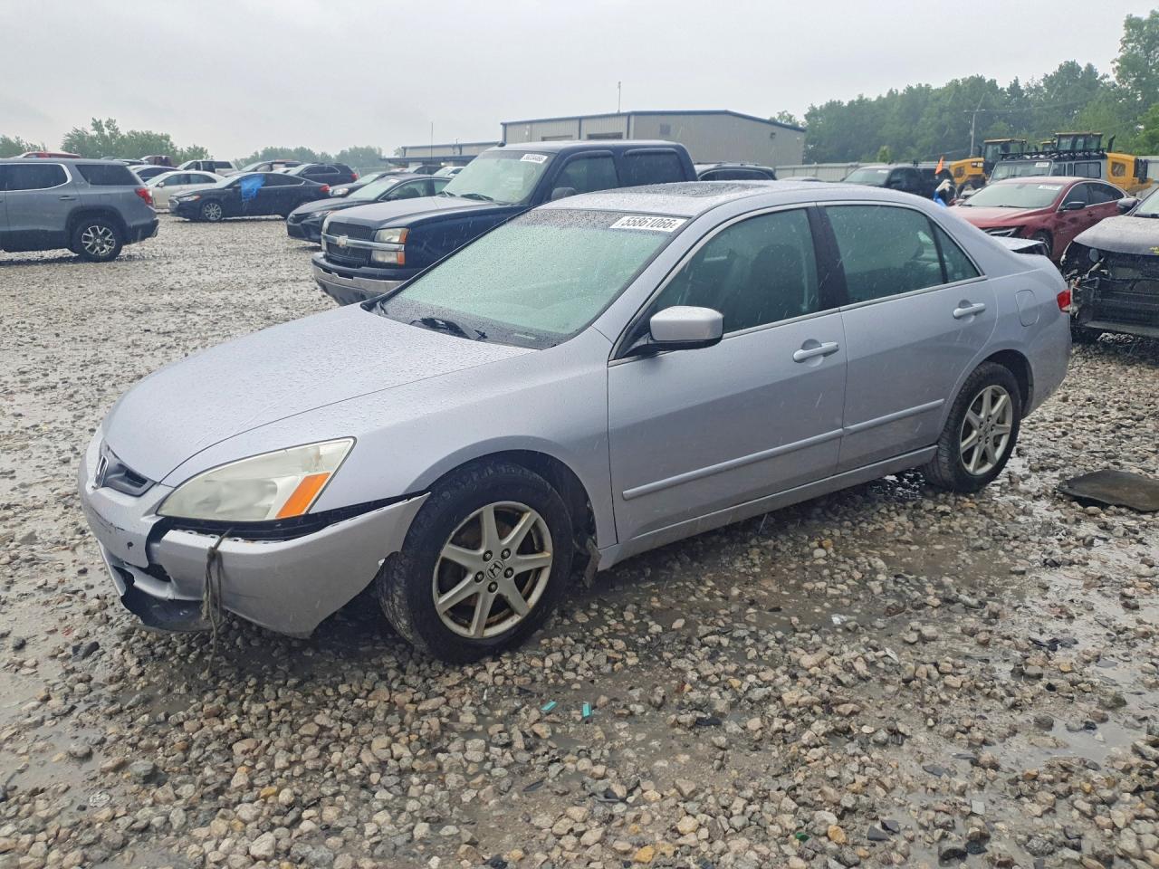 Salvage Honda Accord Image