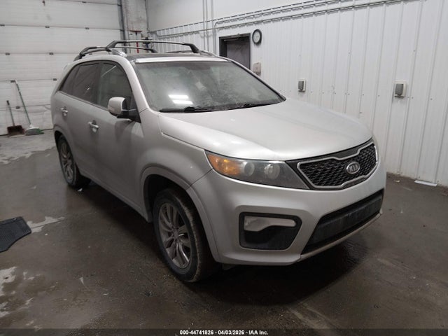 Salvage Kia Sorento Image