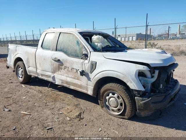 Salvage Ford F-150 Image