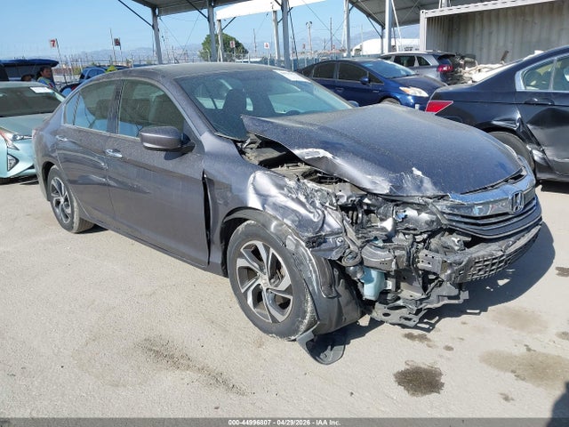 Salvage Honda Accord Image