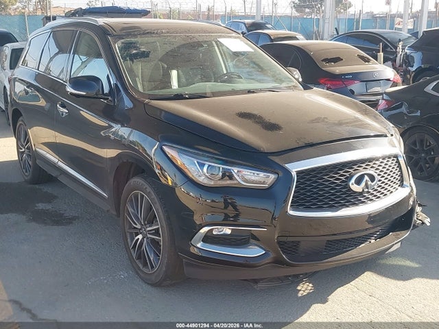 Salvage INFINITI Qx Image