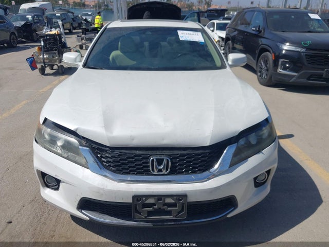 Honda Accord Ex-l V-6