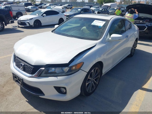 Honda Accord Ex-l V-6