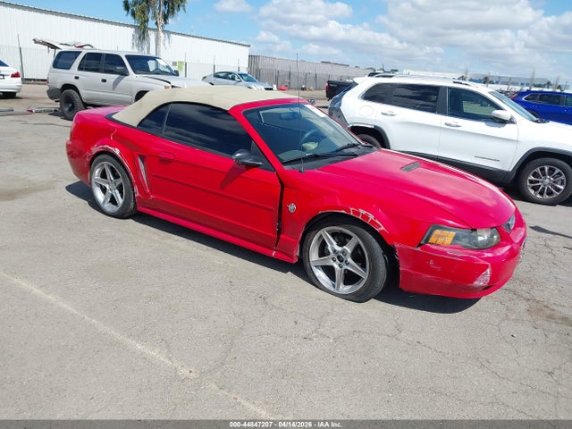 Salvage Ford Mustang Image