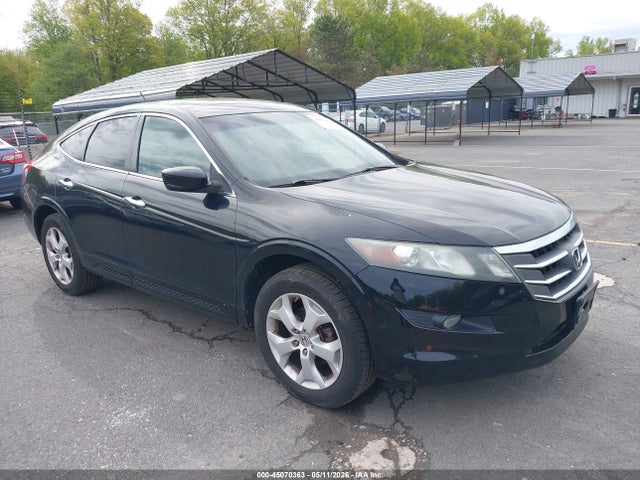 Salvage Honda Crosstour Image
