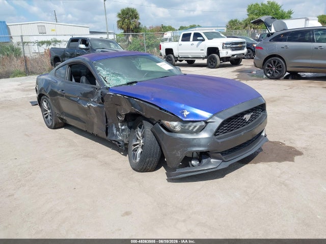 Salvage Ford Mustang Image