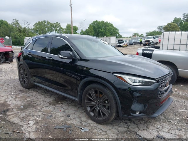 Salvage INFINITI Qx Image