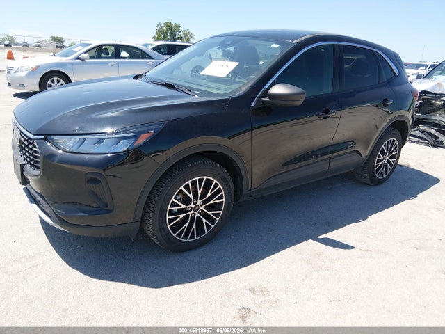 Ford Escape Active