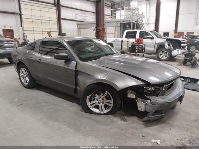 Ford Mustang V6