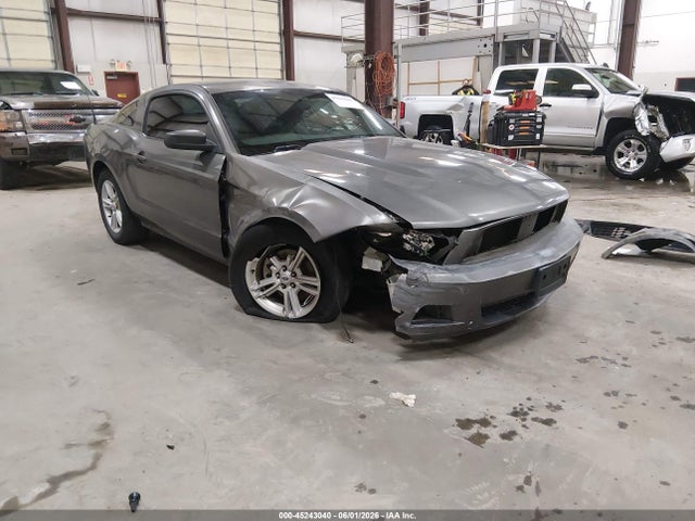Ford Mustang V6