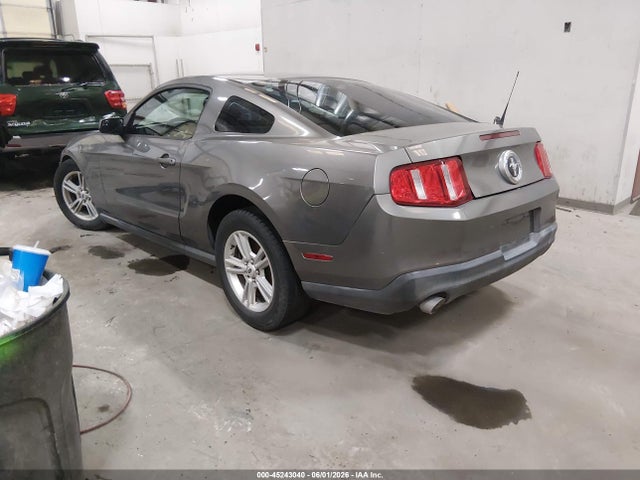 Ford Mustang V6