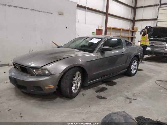 Ford Mustang V6