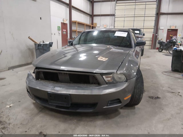 Ford Mustang V6