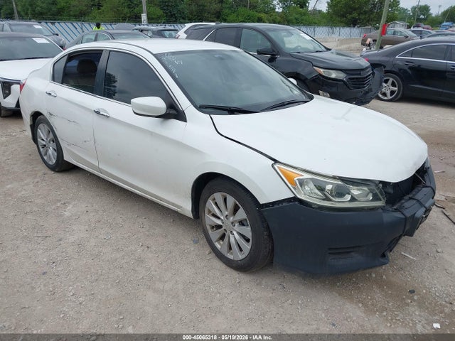 Salvage Honda Accord Image