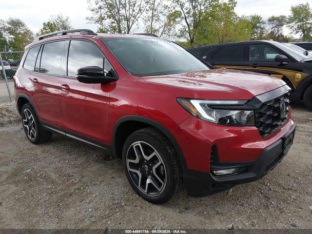 Salvage Honda Passport Image
