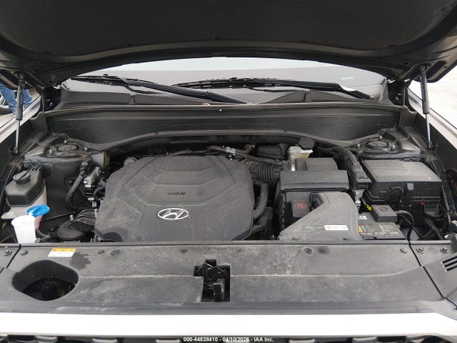 Hyundai PALISADE Calligraphy