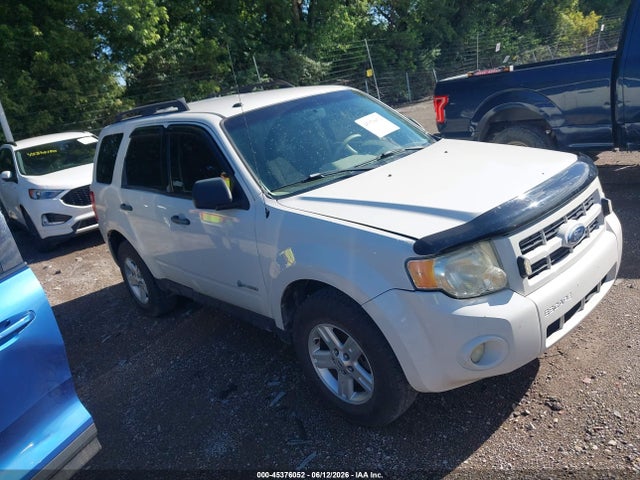 Salvage Ford Escape Image