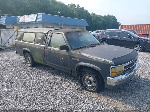 Salvage Dodge Dakota Image