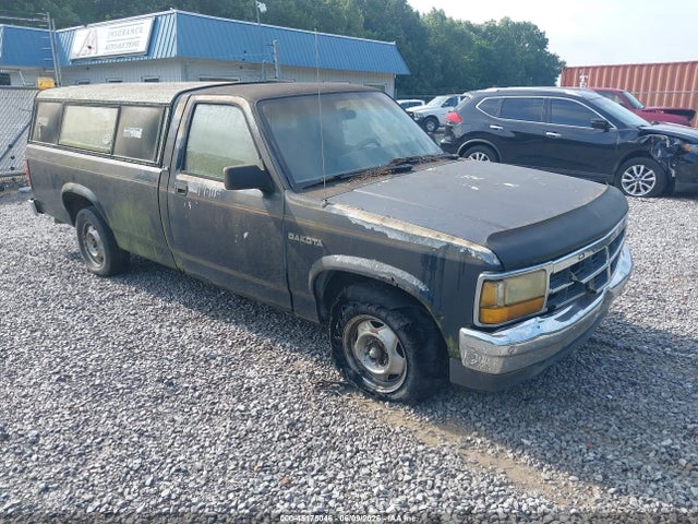 Dodge Dakota