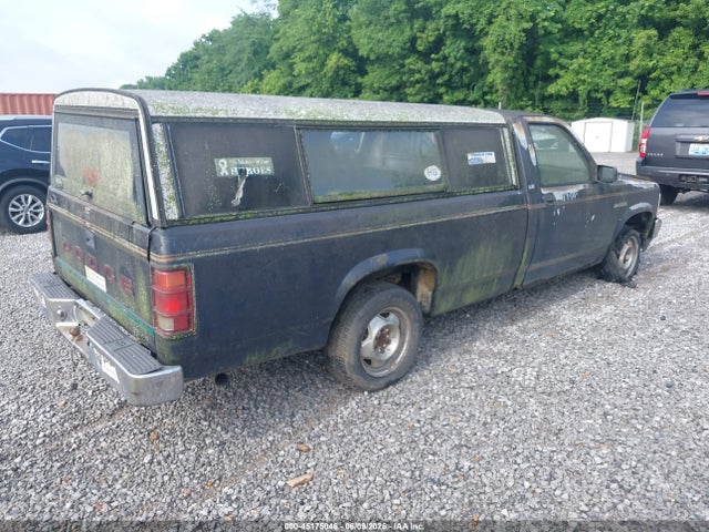 Dodge Dakota