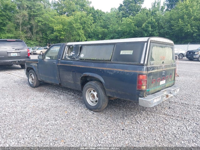 Dodge Dakota
