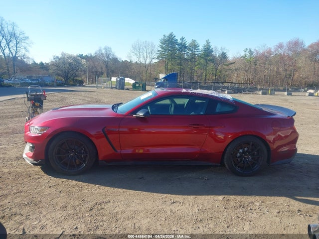 Ford Shelby Gt350