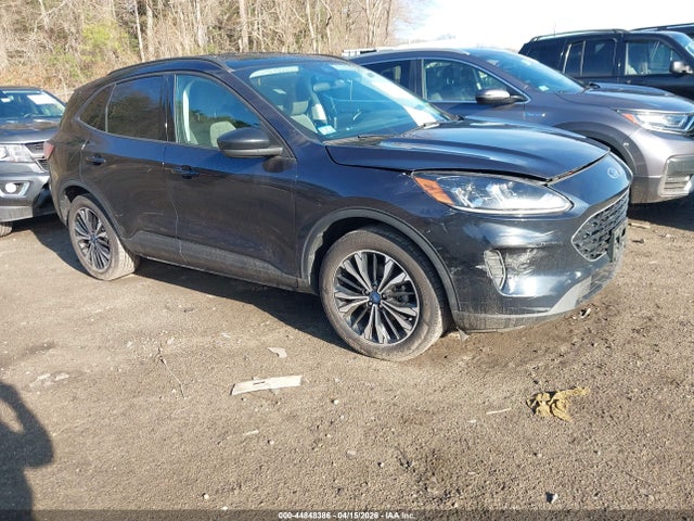 Salvage Ford Escape Image