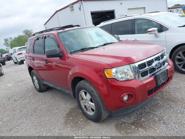 Salvage Ford Escape Image