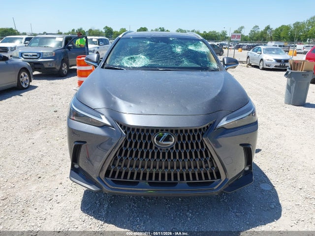 Lexus NX Premium